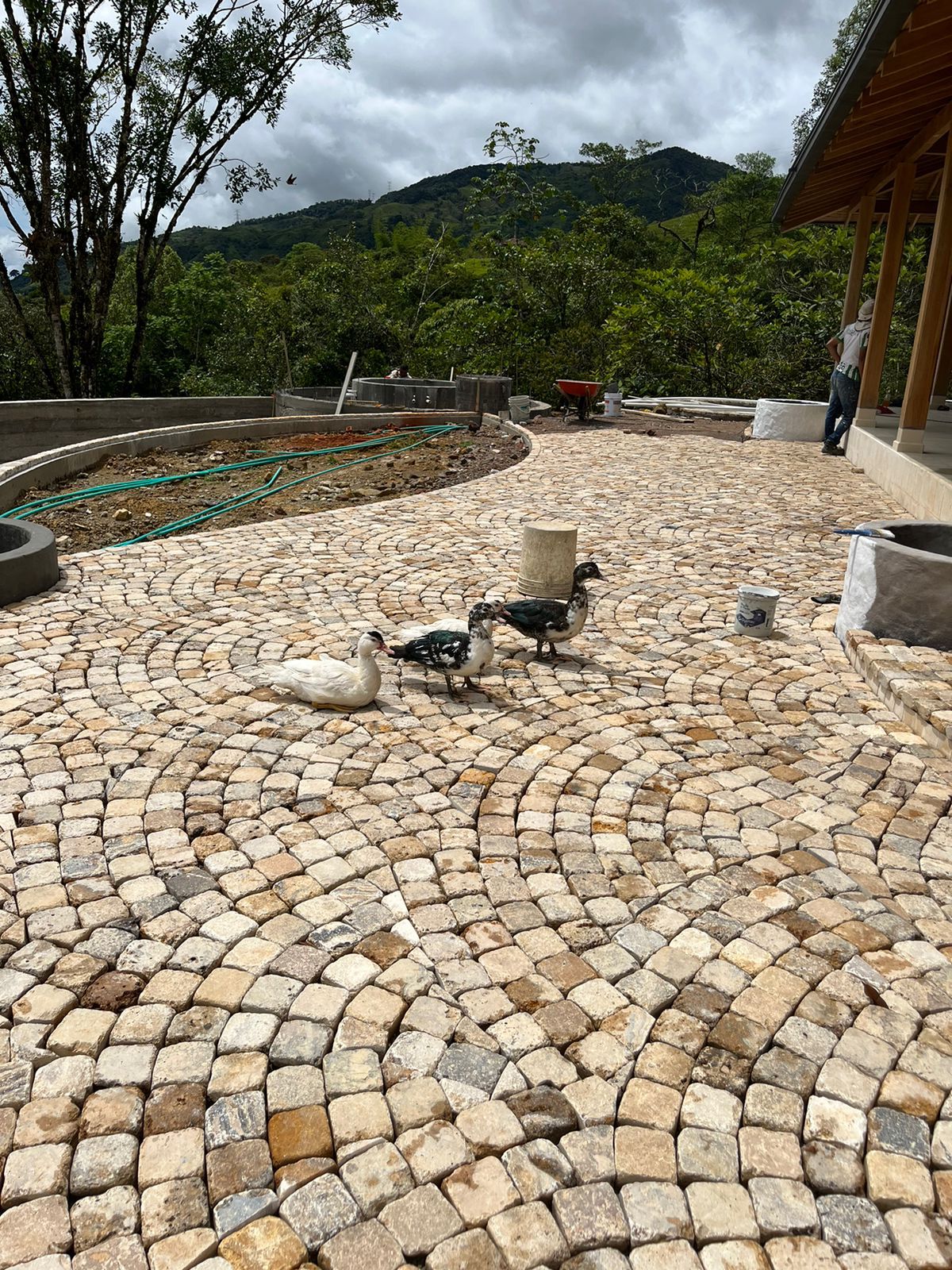 ADOQUIN 10x10x3 Tamboleado